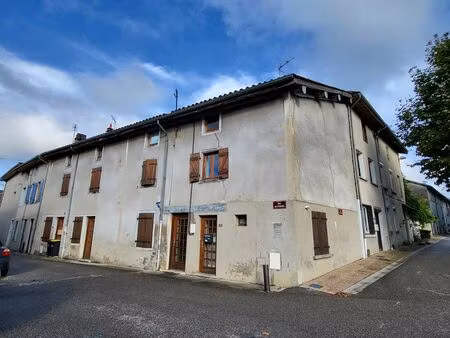 achat immeuble 165m² chalamont 01320