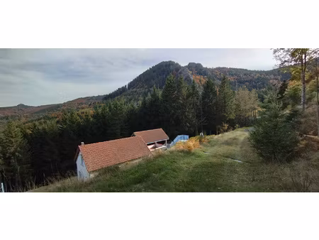 maison isolée en pleine nature
