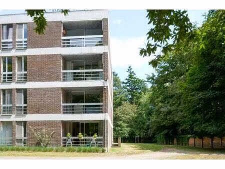 service flat te koop in assebroek