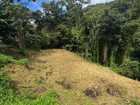 vente terrain 1500m2 à tivoli fort-de-france