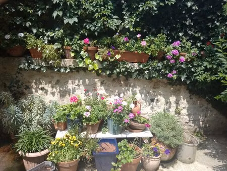 belle maison à confolens