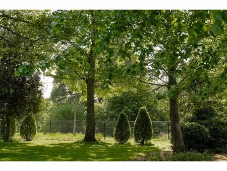 opportuniteit! eigendom op 1 ha met buitengewone privileges