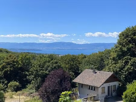 achat : appartement (74200)