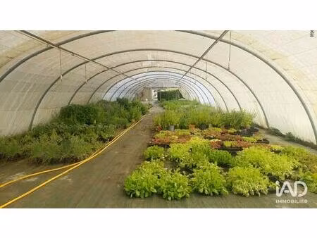 vente murs commerciaux 800 m²