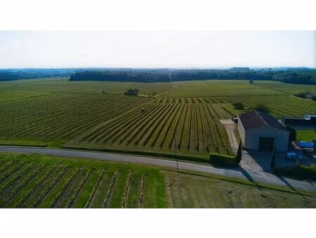propriété viticole bio de 22 hectares en aoc