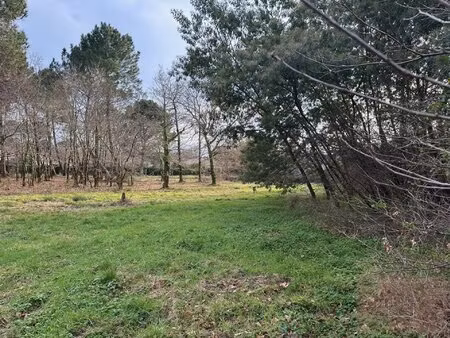 magnifique terrain 1 500 m2