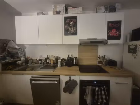 location appartement 2 pièces 41m² lille 59000