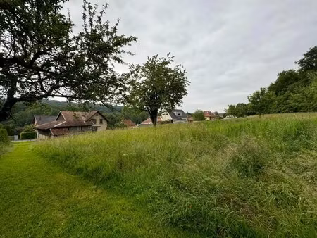 steinsoultz au calme  terrain à bâtir sur coteau
