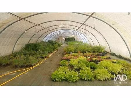 vente bureaux et commerces à saint-magne-de-castillon (33350) : à vendre / 800m² saint-mag