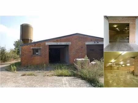 surface industrielle à louer à steenrijen 36 lille (rbv01321)