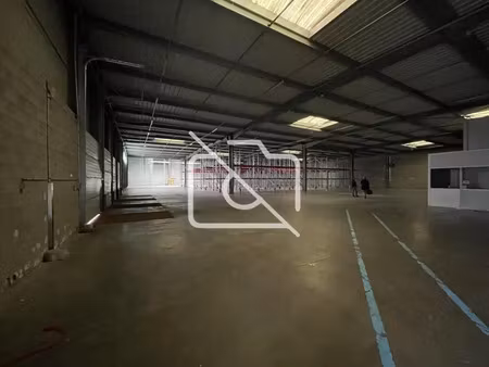 immobilier professionnel à louer égly