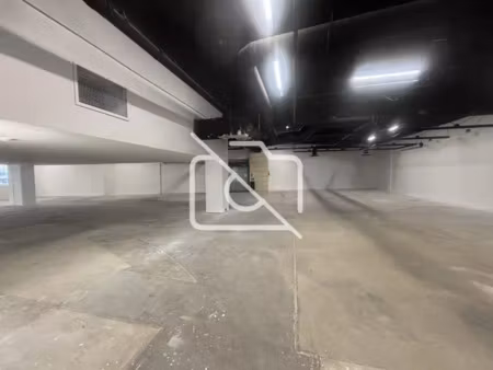 immobilier professionnel à louer ivry-sur-seine