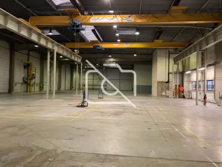 immobilier professionnel à louer lisses