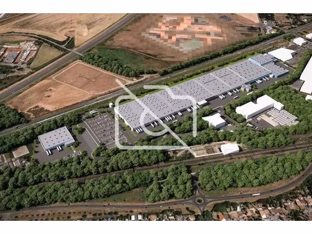 immobilier professionnel à louer savigny-le-temple