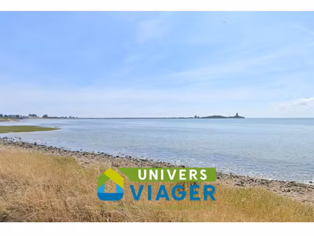 maison en viager occupé à quettehou