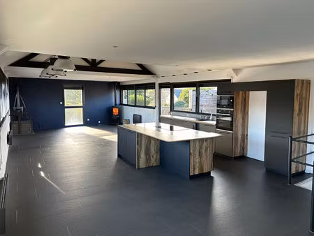 loft atypique aux volumes rares situé à rochefort sur loire
