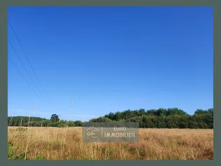 terrain à bâtir industriel et professionnel-7120m²-bazas-gi