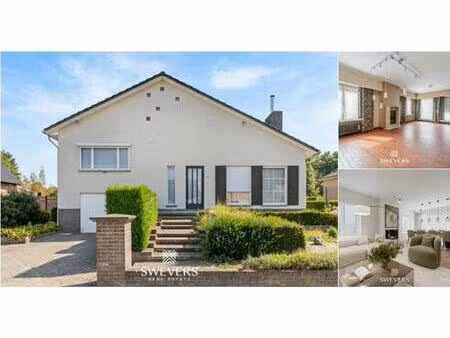 maison à vendre à sparrenweg 112 tessenderlo (rbv01102)