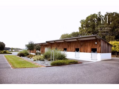 vente maison 5 pièces 180 m² à les esseintes (33190)  760 000 €