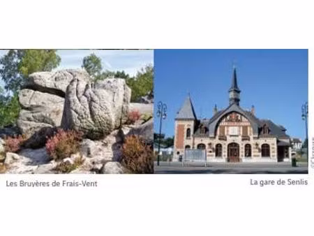 achat : maison (60300)