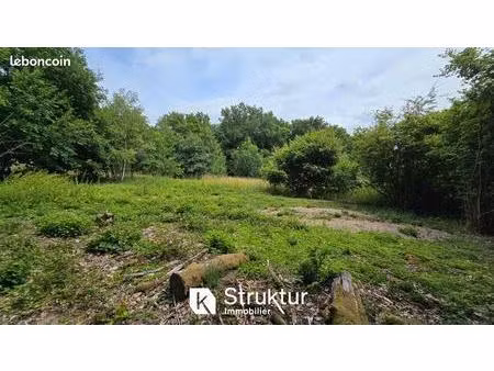 achat : terrain (57640)
