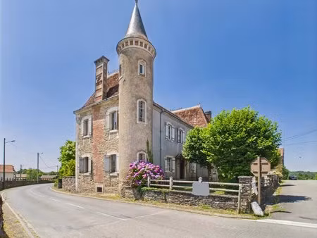 impressionnant château de village comprenant 3 propriétés  une grange et un terrain à réno