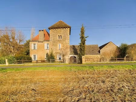 beau manoir historique au coeur du perigord noir