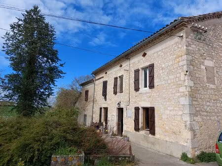 domaine viticole bio près de cordes-sur-ciel