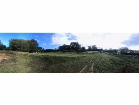 vente terrain 9908 m² à connerré (72160)  39 800 €