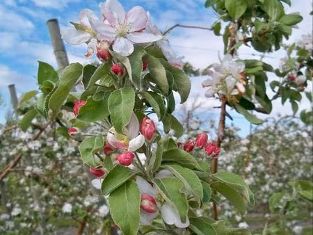 recherche terrain non constructible