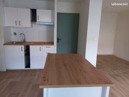 appartement grand t1 bis