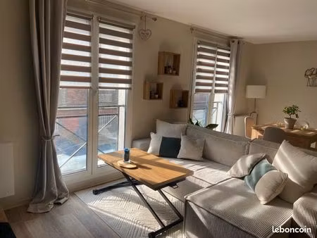 appartement 49m2 centre ville