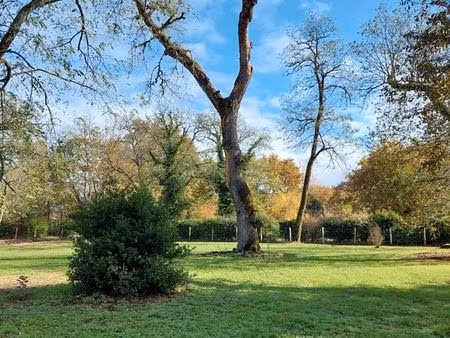 terrain constructible 1000m2 environ