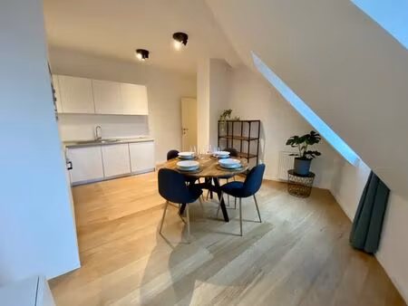 magnifique appartement meublé 1 chambre