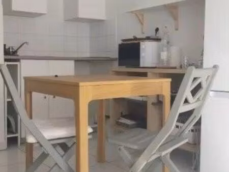 location appartement 1 pièce 33 m² à lyon 7 (69007)