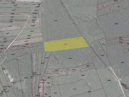 parcelle boisée située à nadrin