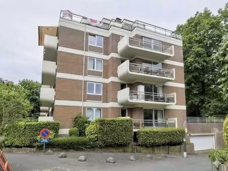 appartement lumineux