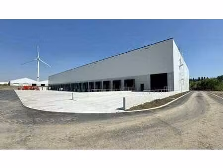 bâtiment commercial à louer à antwerp south logistics à wil