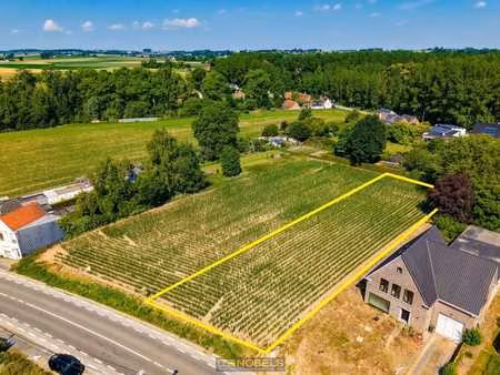 te koop  residentieel gelegen projectgrond (1.366m² - str...