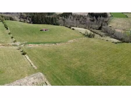 beau terrain agricole de 02ha 81a 35ca situé à nadrin.