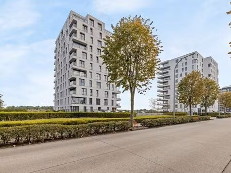 appartement à louer à temse € 880 (ljj0f) - uw-huis bv | zimmo