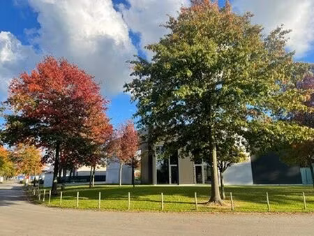 bien professionnel à louer à hasselt € 1.295 (ljj7z) | zimmo