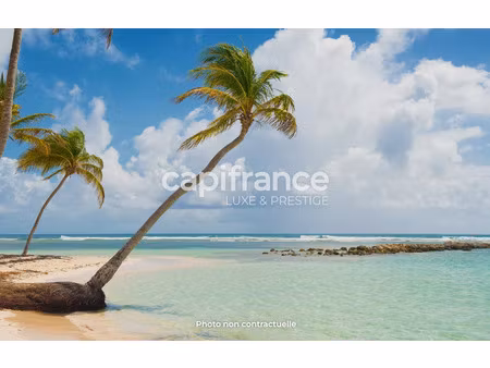 maison à vendre sainte anne 5 pièce(s) 180m2 690 000€