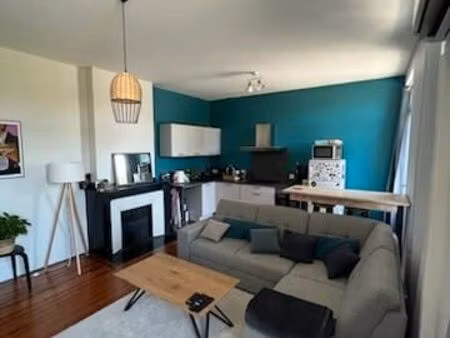 appartement t2 lumineux 60m2