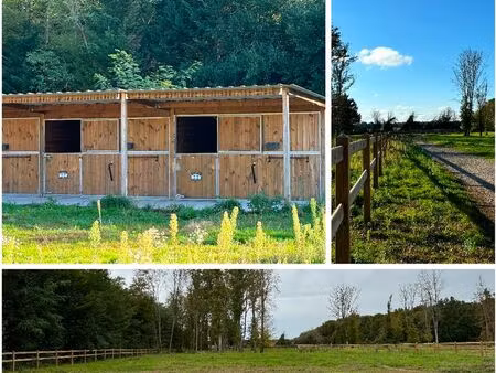 ? location pré+box pour chevaux en semi-liberté – 2 places disponible- situé à vimory