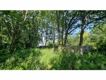 terrain agricole viticole les sables d olonne