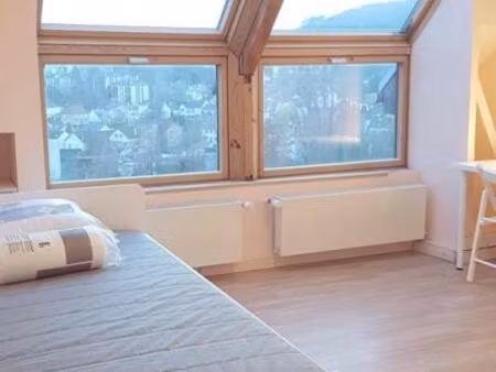 location appartement 1 pièce 18 m² à orsay (91400)