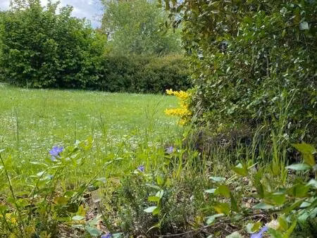 terrain constructible viabilisé à vendre