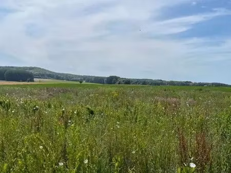 vente terrain à batir 3744 m² à noyon (60400)  66 000 €