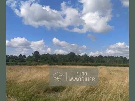 vente terrain 2320 m² à bazas (33430)  128 000 €